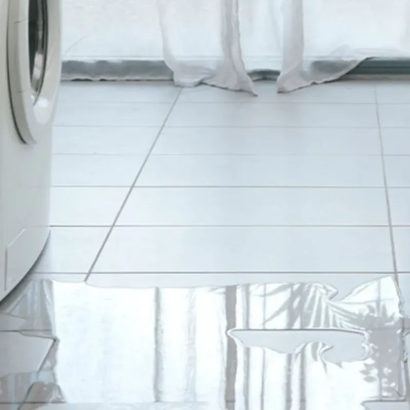 Appliance Leak Cleanup in Valdez-Cordova Census Area, AK